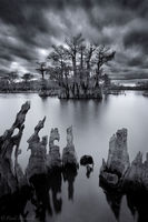 Drama over the Dead Lakes print