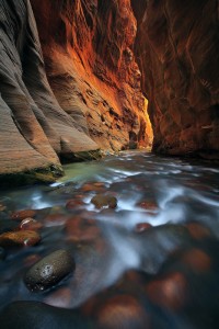 Glow in the Narrows