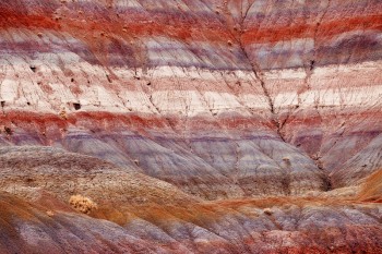 Erosion of the Stripes