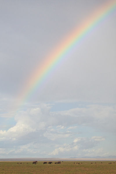 Under the Rainbow print