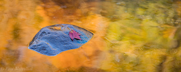 Autumn Reflected print