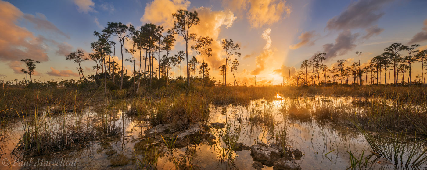 An expansive view of sunset over the globally imperiled pine rocklands of Everglades National Park taken on new years day.