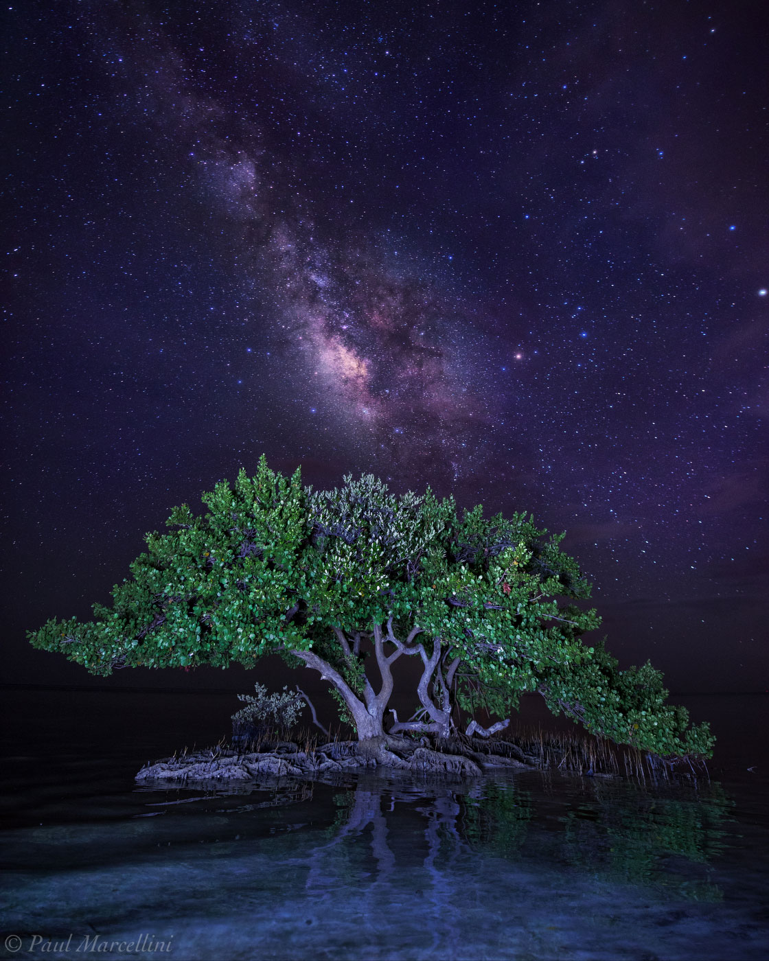 The Milky Way rises over a group of mangroves in the Florida Keys where the dark skies are not as disrupted with light pollution...