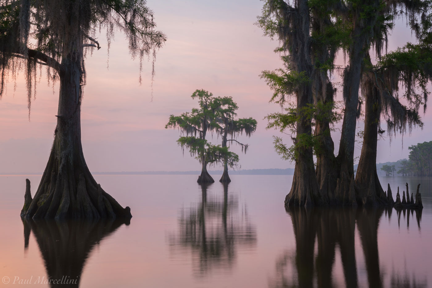 Surnise on Lake Maurepas, Louisiana