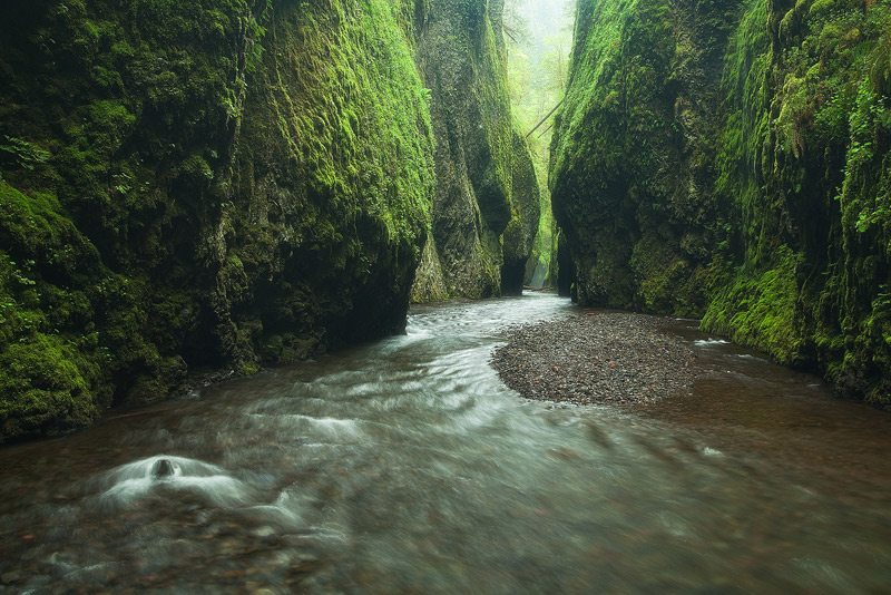Oneonta Gorge is like nowhere else. A wonderful lush canyon full of atmosphere.