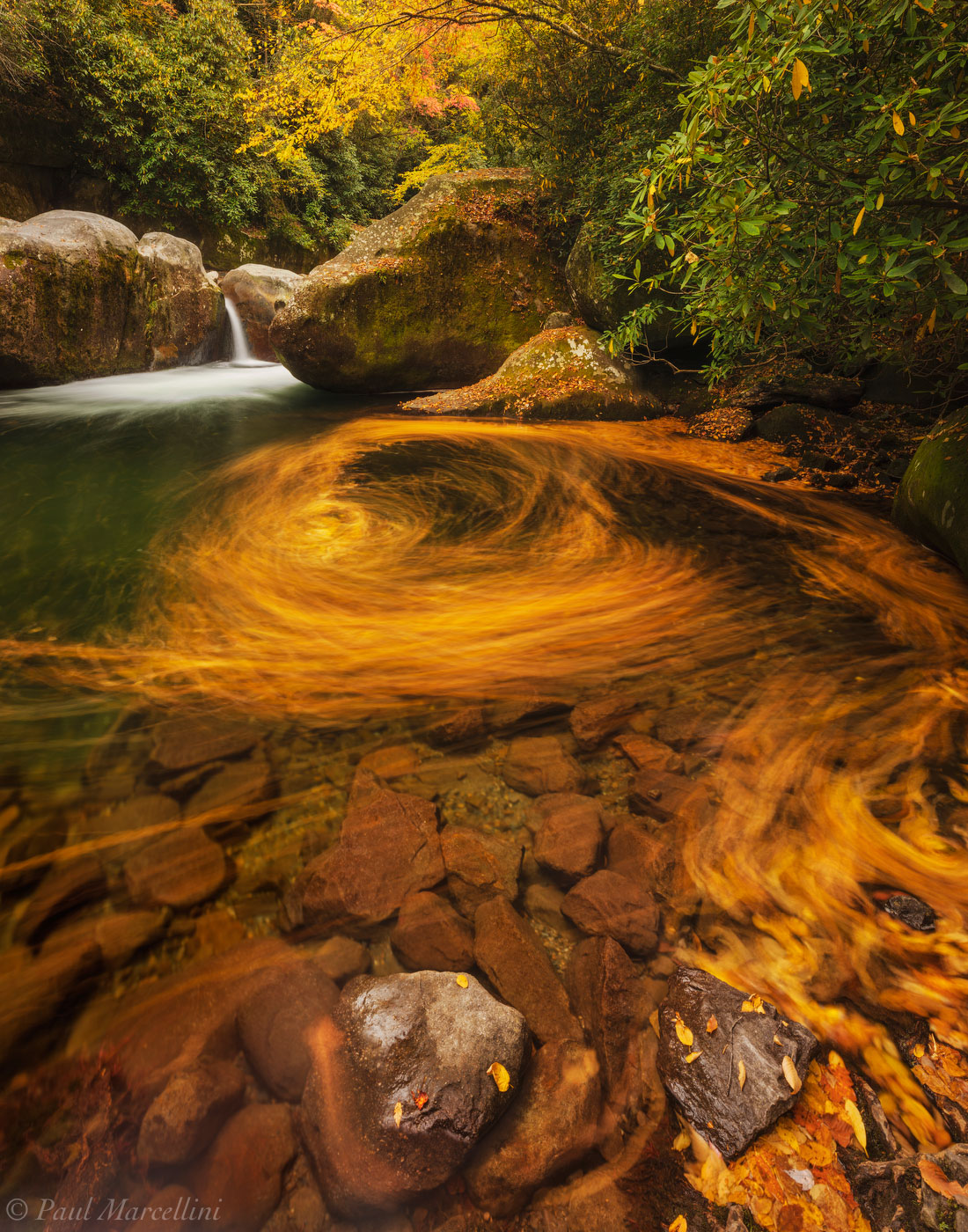 A long exposure swirls fallen leaves in a pool of water below a small cascade.