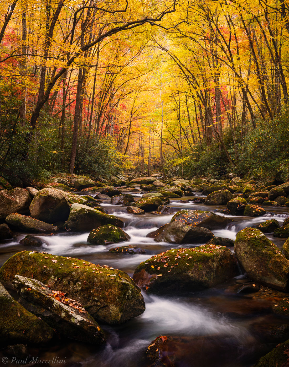 A stream winds its way through a maze of rocks under a cathedral of fall colors in the Smokies.